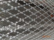 Zilveren Industriële 100x150 bto-18 Gelast Scheermes Mesh For Fence Protect