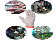 Omkeerbaar Niveau 5 de Handschoenen van de Roestvrij staalveiligheid met Textielriem Zilveren Kleur