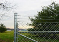 4 voet X 50 Voet-Keten van de de Barrièregrens van Verbindingsmesh fence steel backyard home Groen de Stoffenlandbouwbedrijf